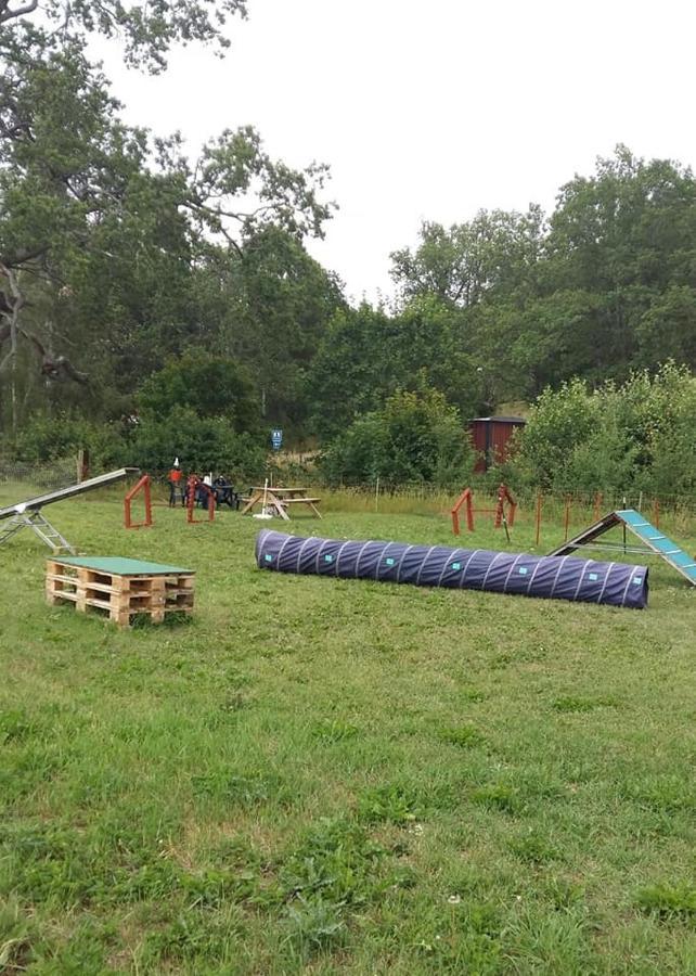 Odensvi Vandrarhem Kültér fotó